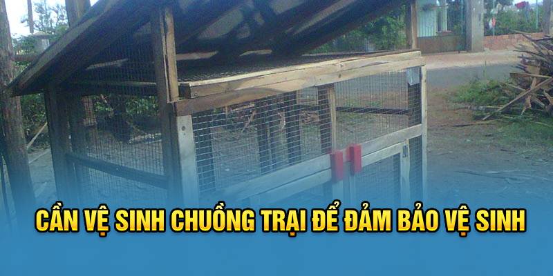 Cần vệ sinh chuồng trại để đảm bảo vệ sinh