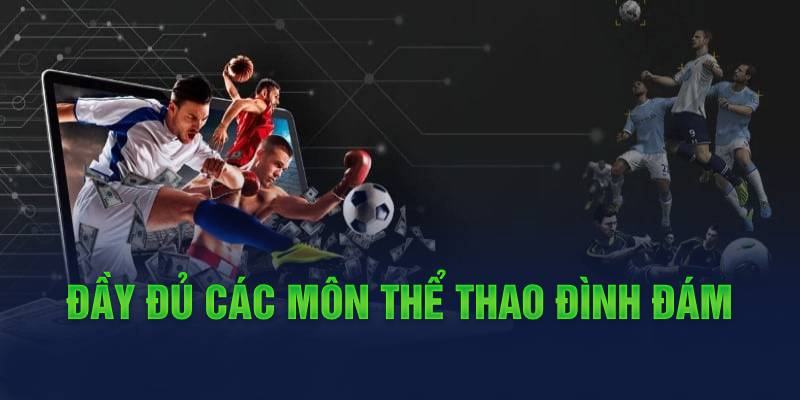 Đầy đủ các môn thể thao đình đám