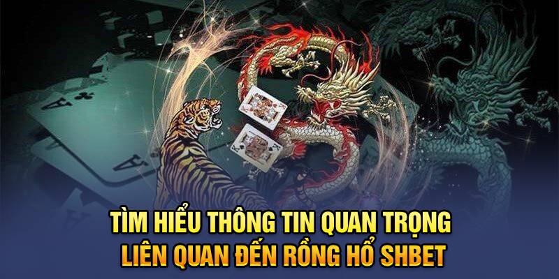 Tìm hiểu thông tin quan trọng liên quan đến Rồng Hổ SHBET